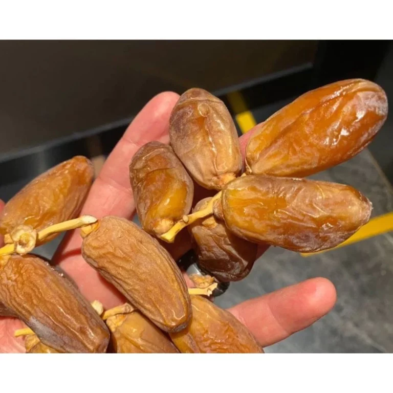 kedai jual kurma