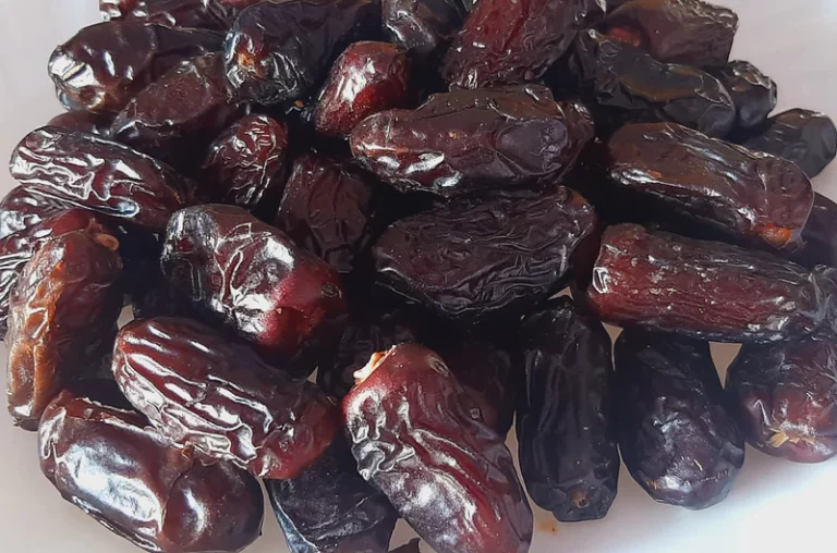 harga kurma